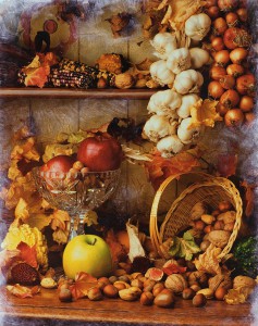 Window Display of Autumn Harvest Foods