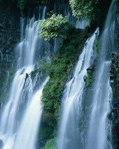 Shiraito Falls Cascading over Vegetation