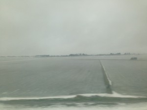 凍り付く田んぼの水